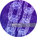 series-logo-2